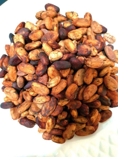 Cacao Beans