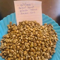 Robusta coffee  Origin: Uganda